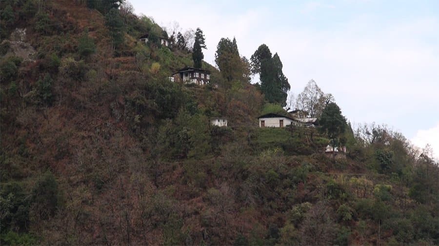 Walking Through Forests to Educate Children