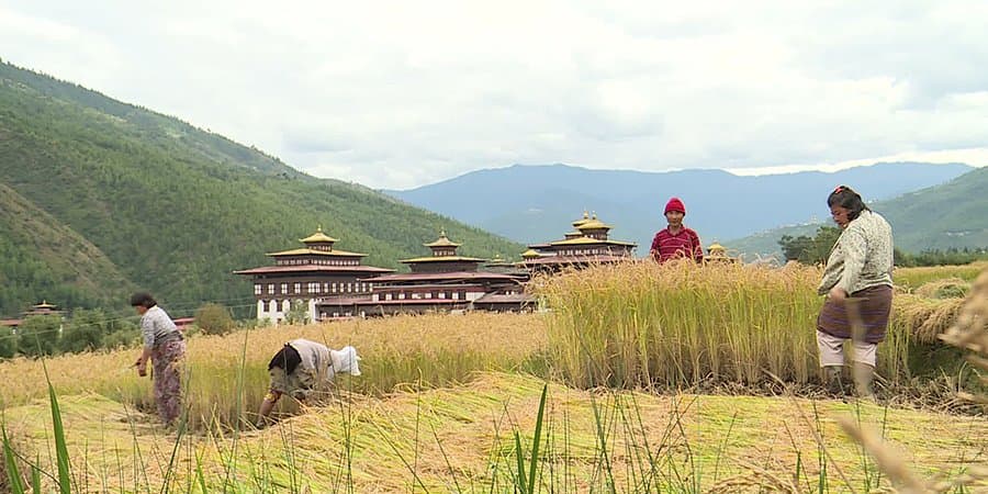 Progress Stalls for Crop & Livestock Insurance 🌾🐄