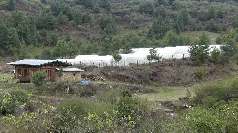 The Costly Fiasco of Bhutan's WOW Farm